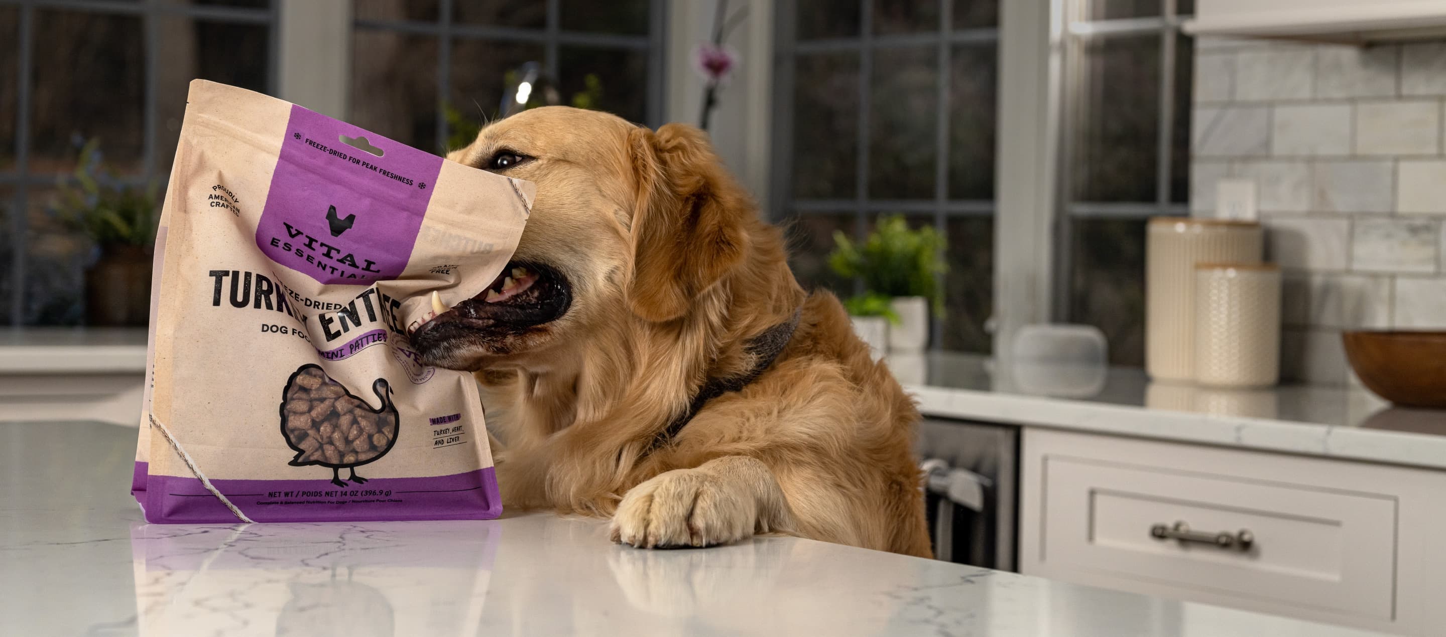 Raw Feeding Protein Source Guide