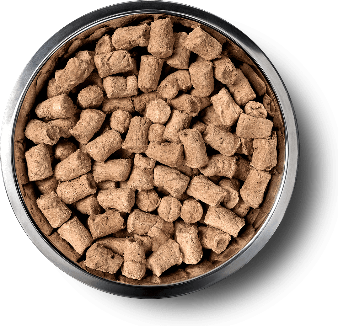 VE_InBowl_SoftNibs_Dog_Duck.png