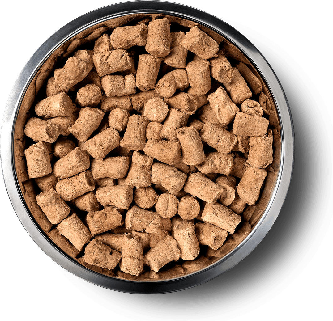 VE_InBowl_SoftNibs_Dog_Beef_Benefits of Freeze Dried.png