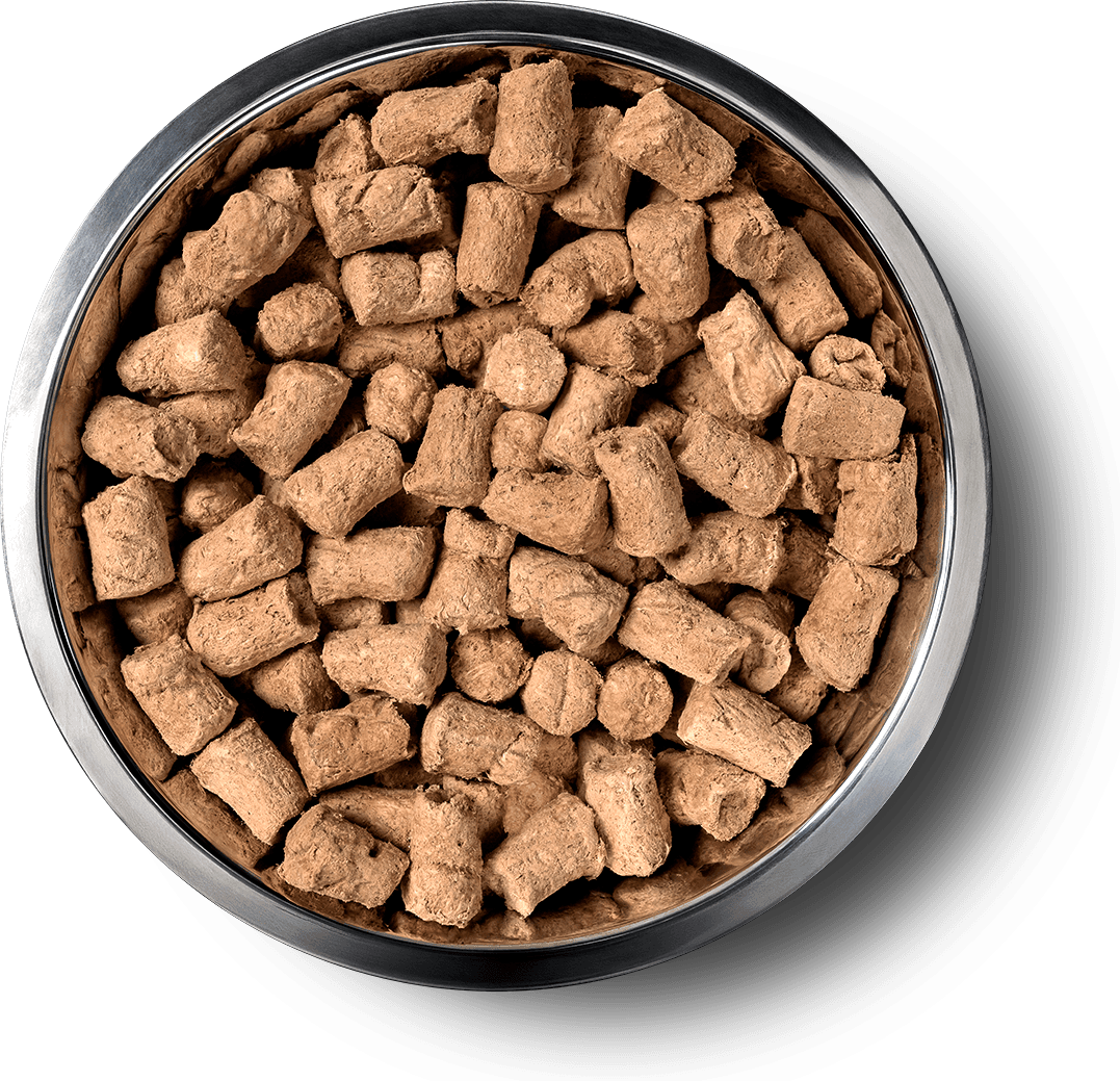 VE_InBowl_SoftNibs_Dog_Pork.png